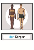 Vorschau - Präsentationen/Tafelbilder - Bildkarten / Wortkarten "Der Körper" DaZ / DaF / Deutsch - Seite 1