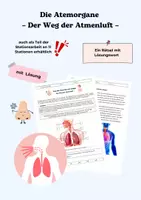Vorschau - Arbeitsblätter - Atmungsorgane – Der Weg der Atemluft - Deckblatt