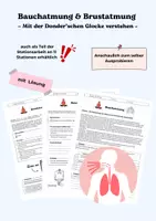 Vorschau - Arbeitsblätter - Bauchatmung und Brustatmung - Deckblatt