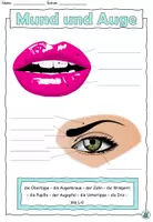 Vorschau - Arbeitsblätter - Mund und Auge - Wortschatz Kopf und Körper - DaZ / DaF / Deutsch - Seite 1