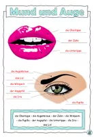 Vorschau - Arbeitsblätter - Mund und Auge - Wortschatz Kopf und Körper - DaZ / DaF / Deutsch - Seite 3