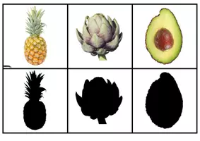Aperçu - Apprentissages en autonomie - JEU DES OMBRES fruits et légumes - Page 3
