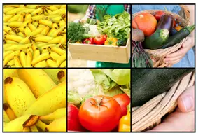 Aperçu - Apprentissages en autonomie - JEU DU ZOOM - fruits et légumes - Page 3