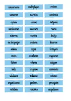 Vista previa - Tarjetas / Manipulativos - CLASSIFICA ELS VERBS - página 2