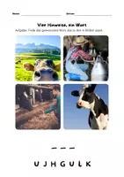 Vorschau - Arbeitsblätter - Vier Hinweise, ein Wort ( Tiere) - Seite 1