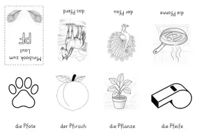Vorschau - Arbeitsblätter - Minibooks zum Laut Pf - 4 verschiedene Vorlagen - Seite 2