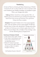 Vorschau - Unterrichtsreihen - Ständeordnung & Ständepyramide - Mittelalter (Legematerial & Arbeitsblätter) - Seite 1