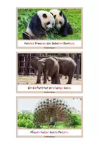Vorschau - Text - Schlaumeier-Heftchen Zoo (Lesen auf Satzebene, mit Silbenschrift) - Seite 3