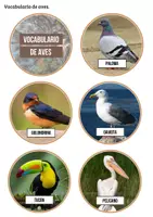 Vista previa - Unidades / Secuencias / Situaciones de Aprendizaje - Las aves - Tesoros Brillantes - página 2