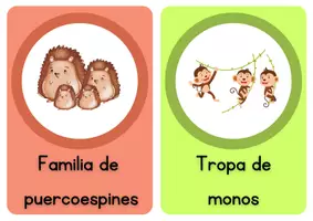 Aperçu - Cartes / Images - Flashcards des noms collectifs! Espagnol. - Page 2