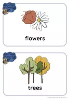anteprima - Flashcard - Brown Owl and the Bee Hive - FLASHCARDS and WORDCARDS - Pagina 3