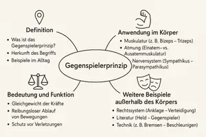 Vorschau - Arbeitsblätter - AB mit Fragen zum Thema "Gegenspielerprinzip" + Lösungsblatt + Mindmap + Infografik - Seite 3