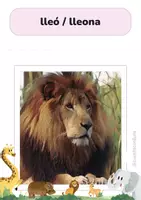 Voorbeeld - Educatieve kaarten van dieren in het Catalaans (deel 1) - Pagina 3