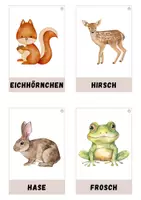 Vorschau - Stationenlernen - Waldtiere - Seite 2