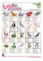 Vista previa - Hojas de trabajo - Pack de los Animales - página 1