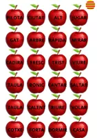 Vista previa - Tarjetas / Manipulativos - SUBSTANTIUS, VERBS I ADJECTIUS - página 2