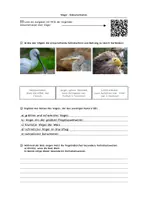 Vorschau - Arbeitsblätter - Vögel Arbeitsblatt zur Doku: Angepasstheiten, Verhaltensweisen, Schutz - Seite 1