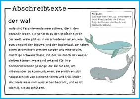 Vorschau - Arbeitsblätter - Abschreibkarten Ozean & Strand zur Groß- und Kleinschreibung - Seite 3
