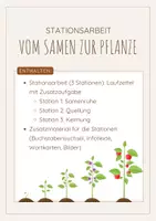 Vorschau - Stationenlernen - Stationsarbeit - Vom Samen zur Pflanze - Deckblatt