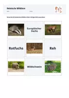 Vorschau - Arbeitsblätter - Heimische Wildtiere- Arbeitsblätter Grundschule - Seite 1