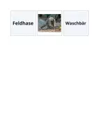 Vorschau - Arbeitsblätter - Heimische Wildtiere- Arbeitsblätter Grundschule - Seite 2