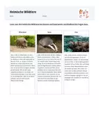 Vorschau - Arbeitsblätter - Heimische Wildtiere- Arbeitsblätter Grundschule - Seite 3