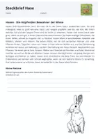 Vorschau - Arbeitsblätter - Heimische Wildtiere Steckbrief Hase- Arbeitsblätter Grundschule - Deckblatt