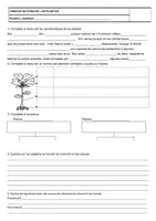 Vista previa - Unidades / Secuencias / Situaciones de Aprendizaje - Las plantas + Adaptado + Formulario + Control - página 1
