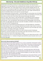 Vorschau - Arbeitsblätter - Materialpaket - Pflanzenporträts - Seite 2
