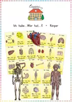 Vorschau - Spiele - Menschlicher Körper & Organe: Lesespiel "Ich habe... Wer hat...?" (Zuhören & Lesen) - Sachunterricht - Kl. 3/4 - Deckblatt