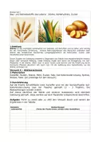 Vorschau - Experimente - Schülerexperiment: Stärkenachweis - Deckblatt