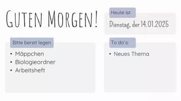 Vorschau - Unterrichtsreihen - Unterrichtseinheit zum Thema Geschlechtserziehung - Seite 3
