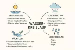 Vorschau - Arbeitsblätter - Arbeitsblätter zum Thema "Wasserkreislauf" (Lückentext, Hörverstehen) + Lösung & MP3 + Mindmap + Infografiken - Seite 3