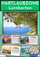 Vorschau - Arbeitsblätter - VEGETATIONSZONEN KOMPLETTMATERIALPAKET: Polare Zone, Savanne, Klimawandel, Tropischer Regenwald, Taiga, Wüste, Klimadiagramme, Vegetationszonen, Hartlaubzone, Steppe - Erdkunde für die Sek 1 - Seite 1