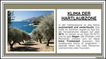 Vorschau - Arbeitsblätter - VEGETATIONSZONEN KOMPLETTMATERIALPAKET: Polare Zone, Savanne, Klimawandel, Tropischer Regenwald, Taiga, Wüste, Klimadiagramme, Vegetationszonen, Hartlaubzone, Steppe - Erdkunde für die Sek 1 - Seite 3
