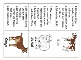 Vorschau - Spiele - Leserätsel zur Leseförderung: Hoftiere - Seite 3
