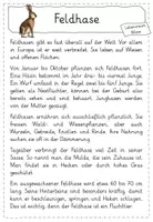 Vorschau - Arbeitsblätter - Leseheft mit Wissenskartei "Tiere in der Wiese" - Seite 3