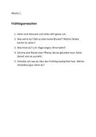 Vorschau - Arbeitsblätter - NMG Naturjournal - Seite 2