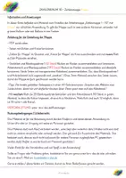 Vorschau - Fördermaterial/Inklusion - Zahlenmappe 1 - 10: MENGEN Zahlenraum 10 (orangene Kreise) - Seite 2