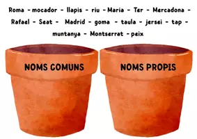 Vista previa - Tarjetas / Manipulativos - NOMS COMUNS I NOMS PROPIS - página 1