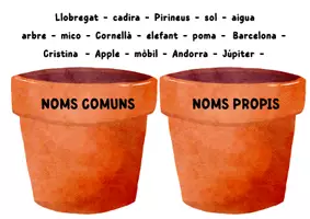 Vista previa - Tarjetas / Manipulativos - NOMS COMUNS I NOMS PROPIS - página 2