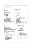 Vorschau - Stundenentwürfe - Sinne - das Auge: Planung und didaktische Überlegungen - Seite 1