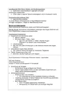 Vorschau - Stundenentwürfe - Sinne - das Auge: Planung und didaktische Überlegungen - Seite 3