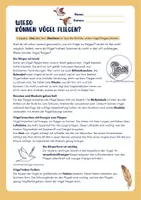 Vorschau - Arbeitsblätter - Wieso Können Vögel Fliegen? - Deckblatt