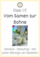 Vorschau - Unterrichtsreihen - Bohnen pflanzen und beobachten - Klasse 1 und 2 - Deckblatt