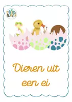 Voorbeeld - Dieren uit een ei - informatiefilmpjes - Voorblad
