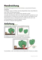 Vorschau - Fördermaterial/Inklusion - Rechengeschichten - Schnecken, mit Klappeffekt, Zahlenraum 4 - Seite 1