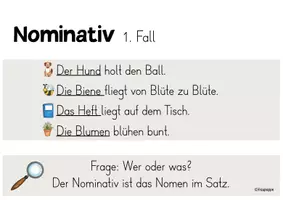 Vorschau - Poster - Die 4 Fälle / Nomen / Merkplakate / Poster - Seite 2