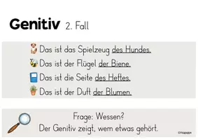 Vorschau - Poster - Die 4 Fälle / Nomen / Merkplakate / Poster - Seite 3