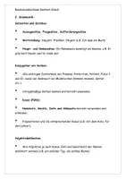 Vorschau - Text - Realschulabschluss Check Überblick für Deutsch - Seite 2